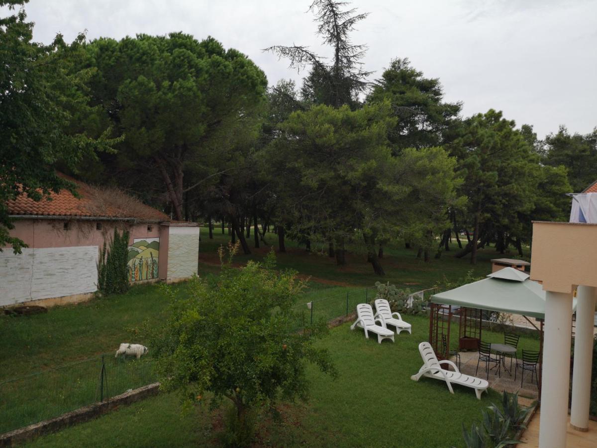 Sara Apartment Umag